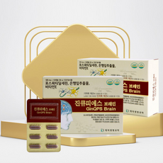 인지기능향상