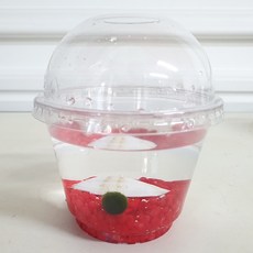 데코덴아트마리모