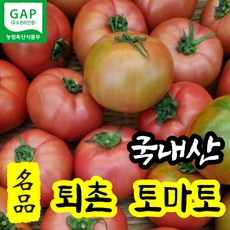 퇴촌벌수정토마토