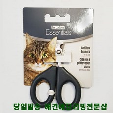 고양이초보집사되기