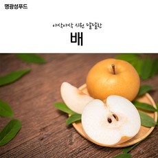 명광성푸드 아삭아삭 시원한 배 식당용 업소용 업체 주방 음식 만들기 조리 요리 식품 식자재, 10kg_아이스팩+아이스박스, 본상품선택
