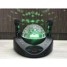 블루투스마이크2개