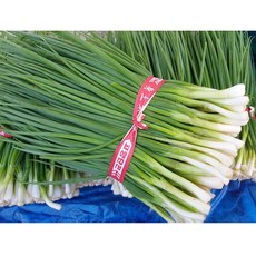 [당일수확] 청정 고흥 깐쪽파 쪽파 scallion spring onion, 1박스, 1kg