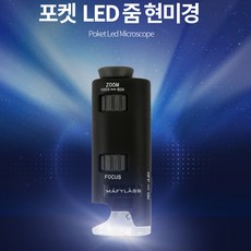 100배현미경