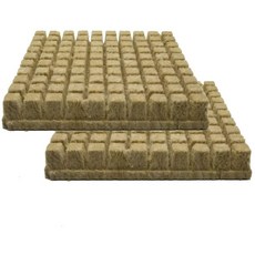 수경재배 암면배지 락울 큐브 Rockwool Cube 2cm 100개