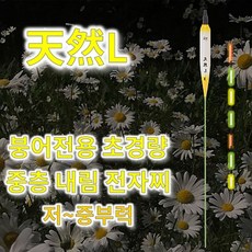 저부력전자찌