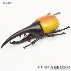 곤충도감장난감