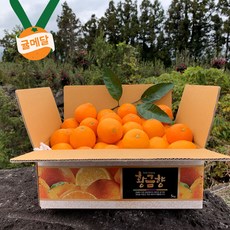 [최고당도] 제주 황금향 로얄과 사이즈 13brix 상위1%당도 3kg / 5kg / 10kg, 3kg (7~14과)