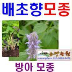 638aecf507ec12be54c73db2e0aa08e85530f7977f761985b4bd6609e806.png