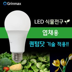 퓨처그린식물등