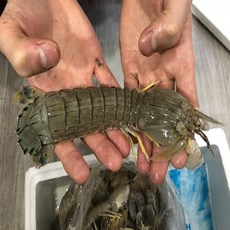 //상품명