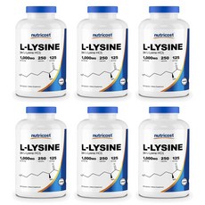 Nutricost 뉴트리코스트 L-라이신 1000mg, 250정, 6개