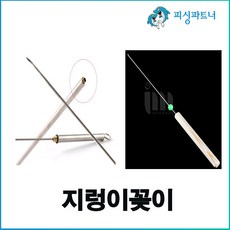 부산낚시체험