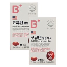 바이오그램혈압