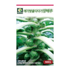 방울다다기양배추다이어트