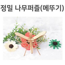 3d곤충만들기