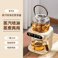 미니약탕기 건강차달이기 차우리기 홍삼제조기 전기유리약탕기 가정용약탕기 전기차달임, 1.화이트 198x187x313mm 1200W