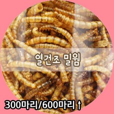 aa09535872bd42fe7878f862f0df1d6ac08da9e05ff82ee355ecd712af48.jpg