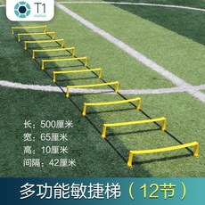 민첩한 사다리 고정 뛰다 체크 뛰어넘다 난 선반 에스컬레이터 줄 스피드 보폭 트레이닝 축구 피트니스 기기, 12절 멀티 민첩한 사다리