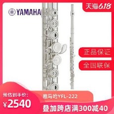 YAMAHA 야마하 플루트 YFL-222 폐공 플루트 초급 프렌치 버튼 플루트, 01 YFL222