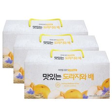 푸르담 가득담은 도라지배즙, 90개입, 100ml