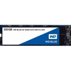 wdssd250gb