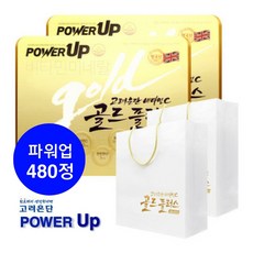 고려은단 비타민C 골드플러스 파워업 (1130mg 240정x2박스) 480정 16개월분, 2박스