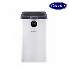 캐리어 공기청정기 13평 1등급 RCAPS-F050YRRW (무료배송), 단일옵션