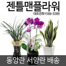 b9693502a7e6d169cf3bf98dad69c53a1e84207f234a18cedb83e5f90f1d.jpg