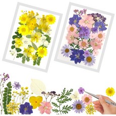 328ff1ddbfaae2f5594d67a2e0798d495d585fbb23a24713cc7bfbe1f5f2.jpg