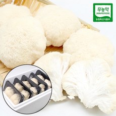 국내산 생 노루궁뎅이버섯 1kg, 없음, 5개