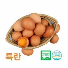 [특란] 알부자집 무항생제 계란 특란 150구(30구X5판), 30구, 5개
