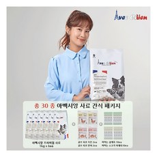 아베크빈트가습기