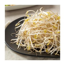 신선아삭 천연암반수 숙주나물 식감최고 4kg, ONE COLOR, ONE SIZE