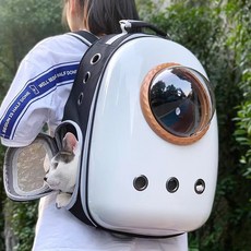 르메르카트리지백
