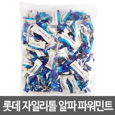 롯데제과 자일리톨 알파 파워민트 315g, 1봉