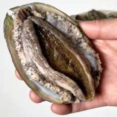 완도전복1kg10미