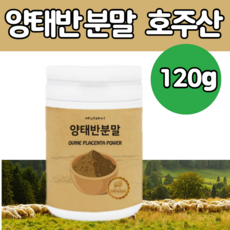 딘토운초