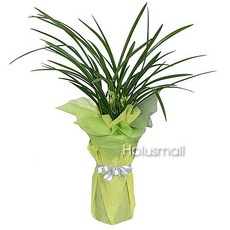 af4aadb9fda66083ba3cad07c607ecde571614e269243c5f6feed67d8cbb.jpg