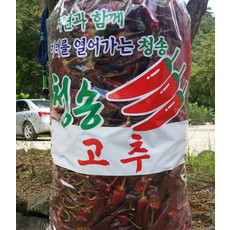 청송주왕산고춧가루