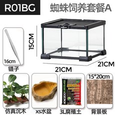 크레스티드게코렉사