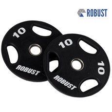 robust원판