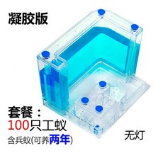 개미집 개미 공방 성 장원 별장 농장 관찰 케이스매우 빅사이즈 포장 2020, T09-L52-블루 램프(100작업 개미)이년