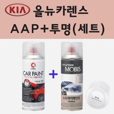 a5529ap120