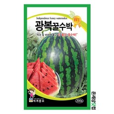 제철수박 TOP01