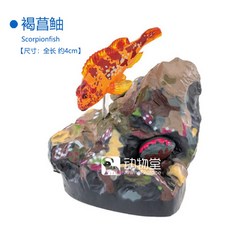 우리바다어류도감