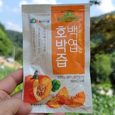 통째로갈아만든호박즙