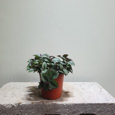 92775e112216c730cddd44ededebd484f16c4371a955a508be9c52c3699b.jpg