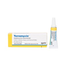 테라마이신 항생제 안연고 3.5g 강아지 고양이 결막염 Terramycin 감염