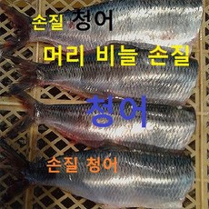 냉동청어